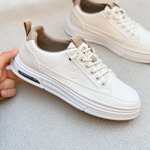 خرید اینترنتی قیمت ونس بزرگسال بندی از وین استار کد G1K 5011503