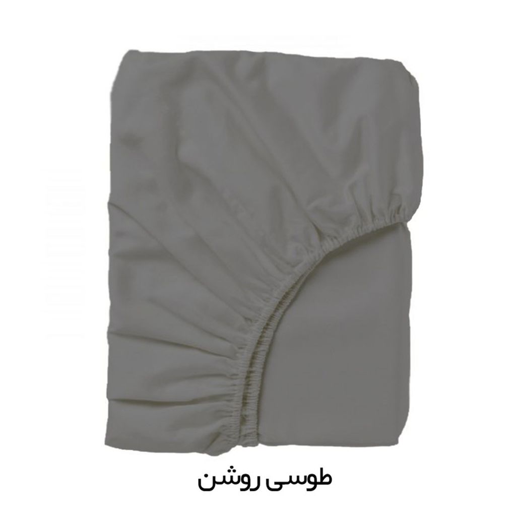 خرید اینترنتی قیمت سرویس ملحفه آدلانته مدل میکرو کد 90 یک نفره دو تکه
