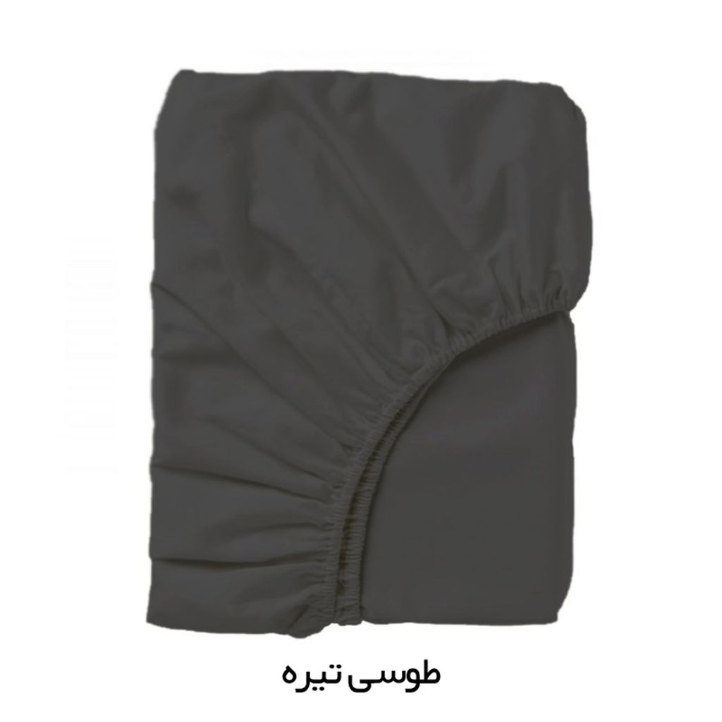 خرید اینترنتی قیمت سرویس ملحفه آدلانته مدل میکرو کد 90 یک نفره دو تکه