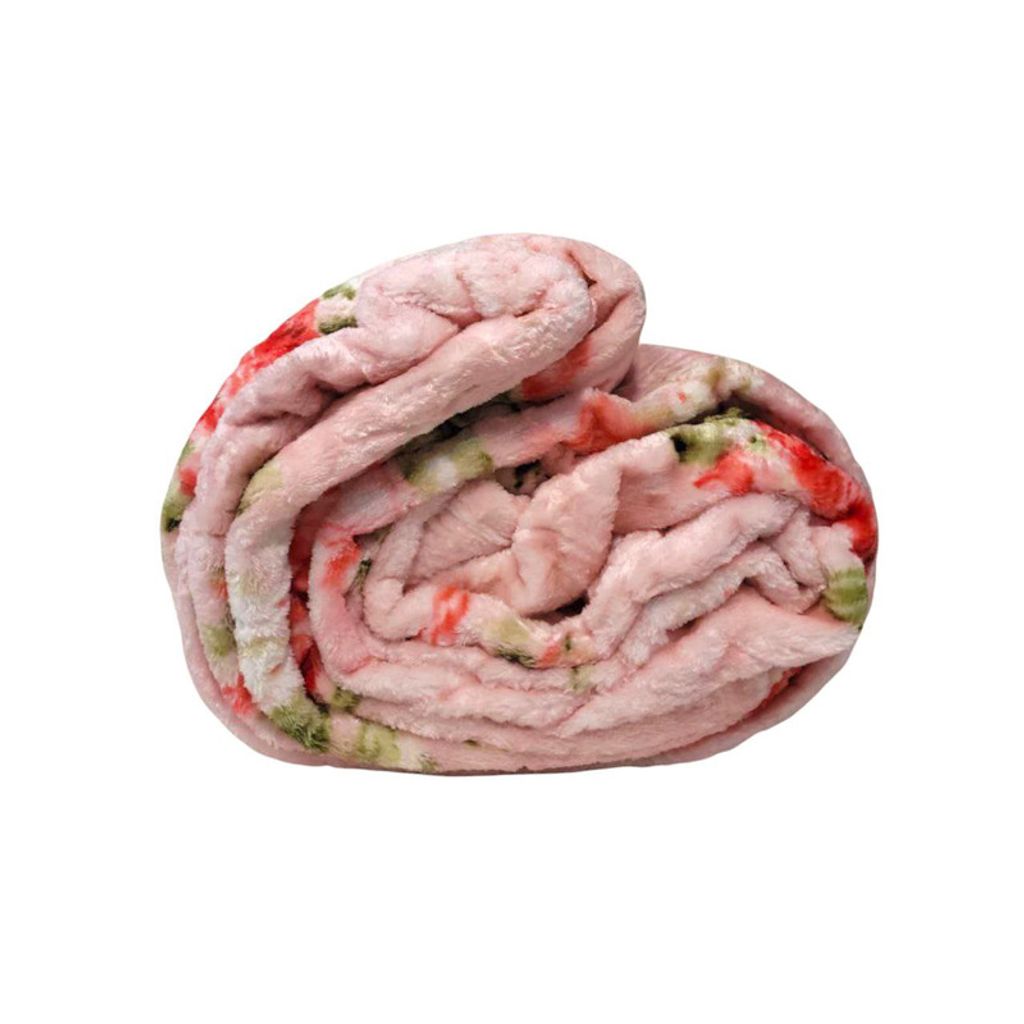 خرید اینترنتی قیمت پتو مسافرتی تکنفره تیسا مدل لایف سایز 150x200 سانتی متر