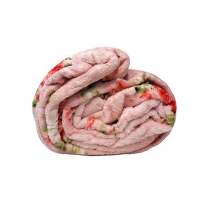 خرید اینترنتی قیمت پتو مسافرتی تکنفره تیسا مدل لایف سایز 150x200 سانتی متر