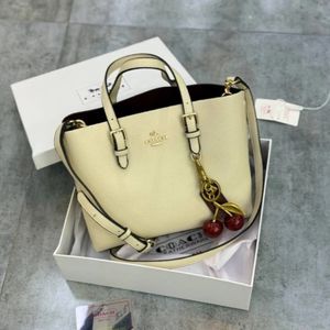 قیمت کیف زنانه کوچ