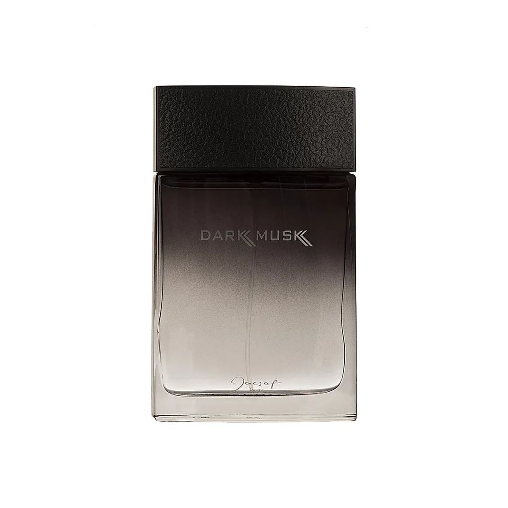 خرید آنلاین ادکلن دارک ماسک ژک ساف با رایحه ابرکرومبی اند فیچ فییرس 100 میل(DARK MUSK JACSAF)