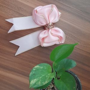 گلسر مجلسی پروانه ای با روبان گروگرین لبه زری