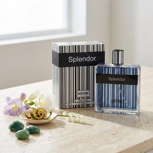 خرید اینترنتی عطر ادکلن مردانه اسپلندور بلک حجم 100 میل رایحه خنک و شیرین