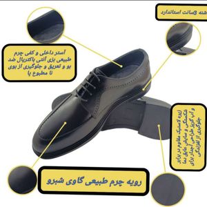 خرید اینترنتی قیمت کفش مردانه رسمی/اداری آکسفورد بندی