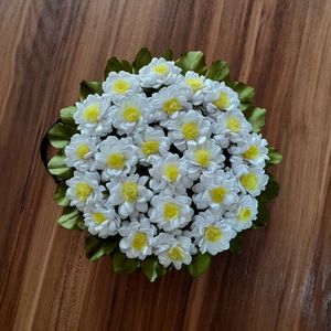 خرید اینترنتی باکس گل مدل بابونه سفید