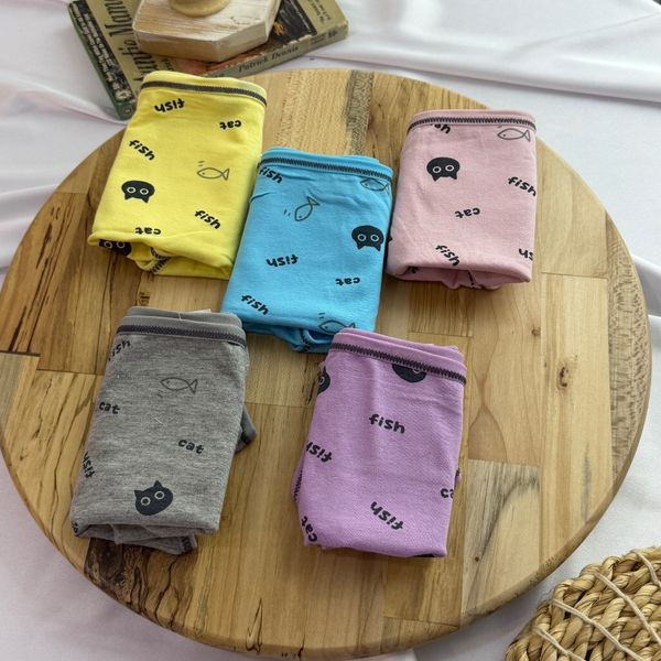 شورت نخی گربه