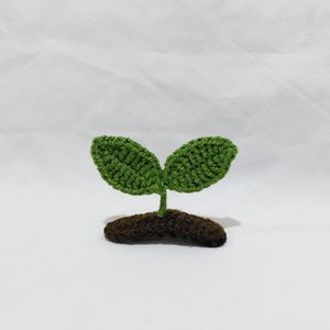 قیمت گیره مو جوانه بافتنی