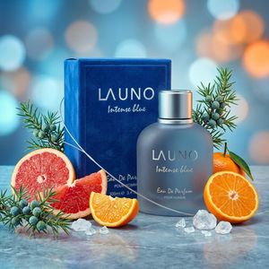 قیمت ارزان عطر ادکلن مردانه دولچه گابانا لایت بلو او اینتنس پور هوم فراگرنس ورد