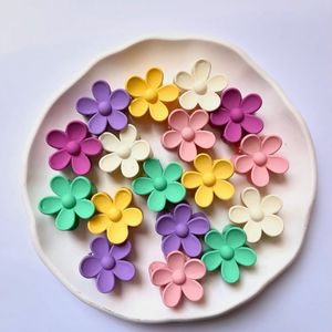 مینی کلیپس گل پلومریا گیره گلی