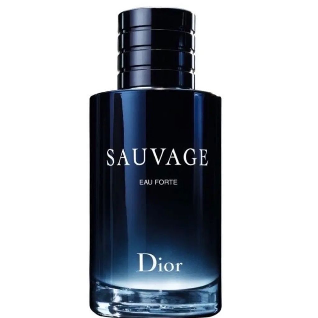 قیمت ارزان تستر اروپایی عطر ادکلن دیور ساوج ساواژ | Dior Sauvage 100ml