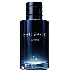 تستر اروپایی عطر ادکلن دیور ساوج ساواژ | Dior Sauvage 100ml