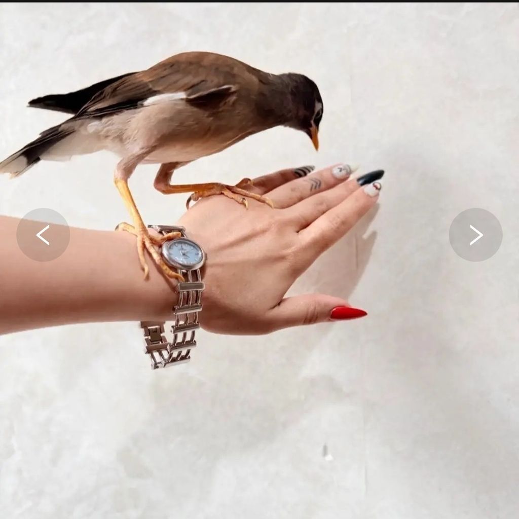 مشخصات ساعت مچی نقره‌ای صفحه روشن