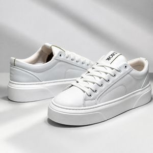مشخصات ونس ترند و پرطرفدار طرح دیور سفید تمام Vans Dior