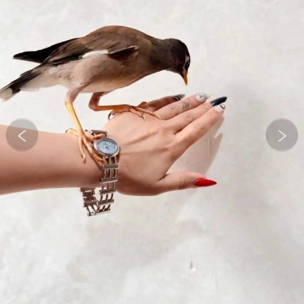 مشخصات ساعت مچی نقره‌ای صفحه روشن
