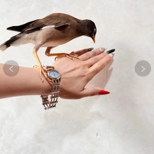 مشخصات ساعت مچی نقره‌ای صفحه روشن