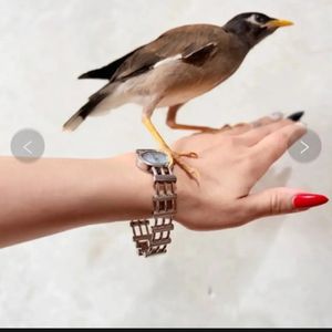 قیمت ارزان ساعت مچی نقره‌ای صفحه روشن