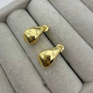 خرید اینترنتی قیمت گوشواره مدل اشک در دو رنگ