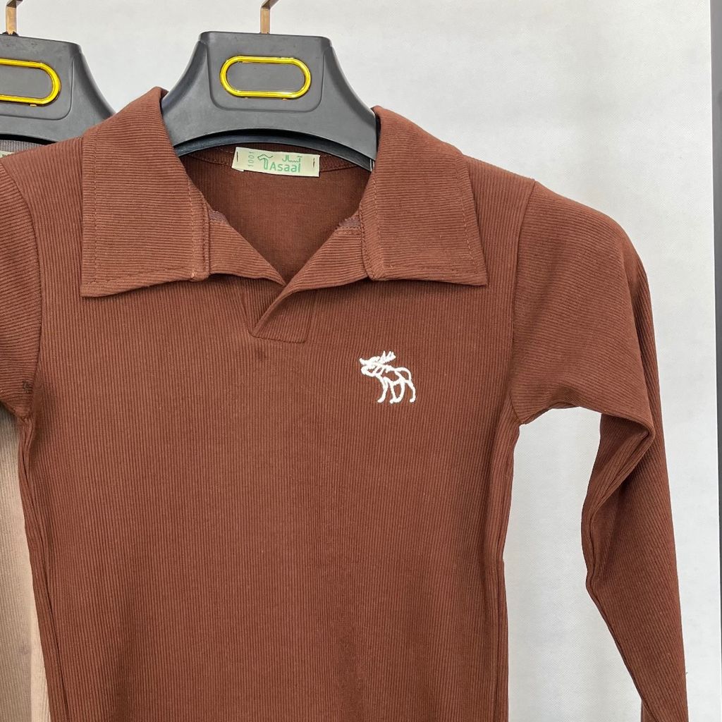 قیمت ارزان پولوشرت Abercrombie آستین بلند