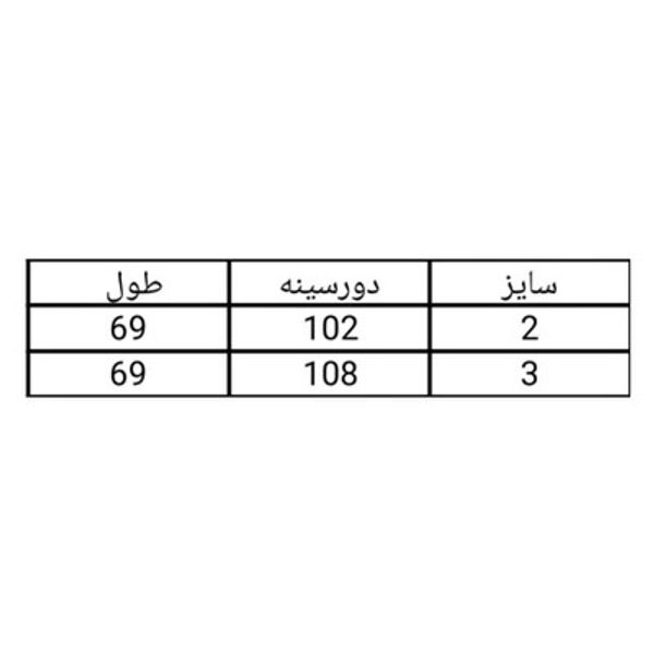 شومیز زنانه مجلسی الیزه