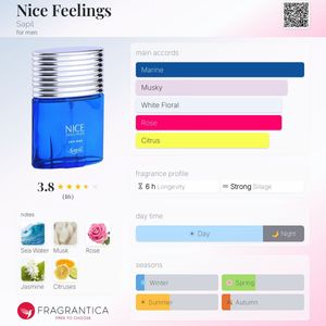 قیمت ادکلن نایس فیلینگ ابی ساپیل اصل NICE FEELINGS SAPIL