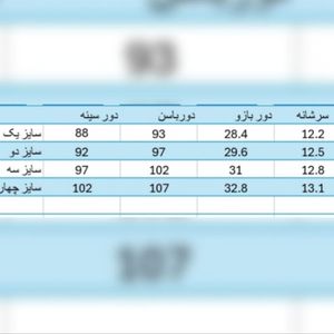 مشخصات شومیز کرپ مجلسی زنانه مدل یلدا