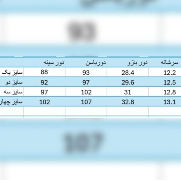 شومیز کرپ مجلسی زنانه مدل یلدا