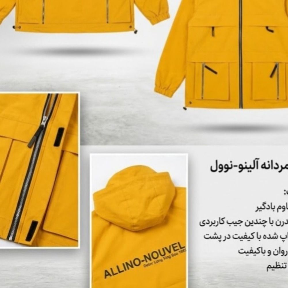 مشخصات کاپشن اسپورت آلینو   مردانه. زنانه